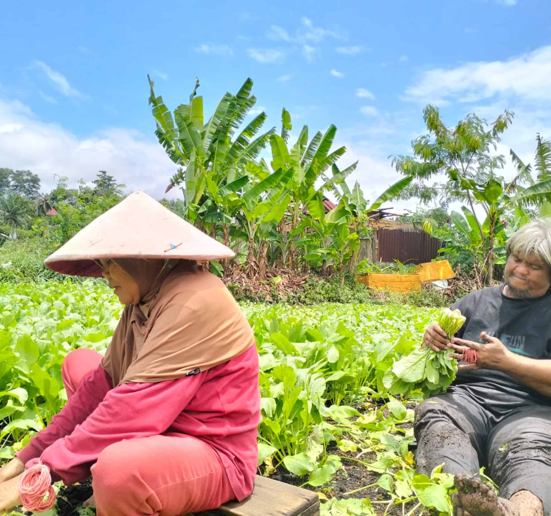 ASLI LOGISTIK INDONESIA